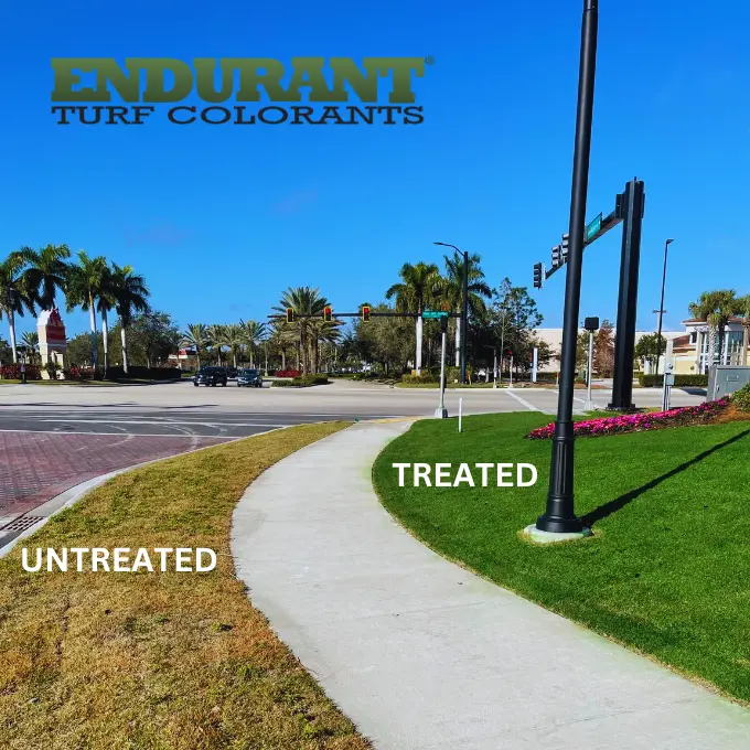 Césped tratado vs no tratado